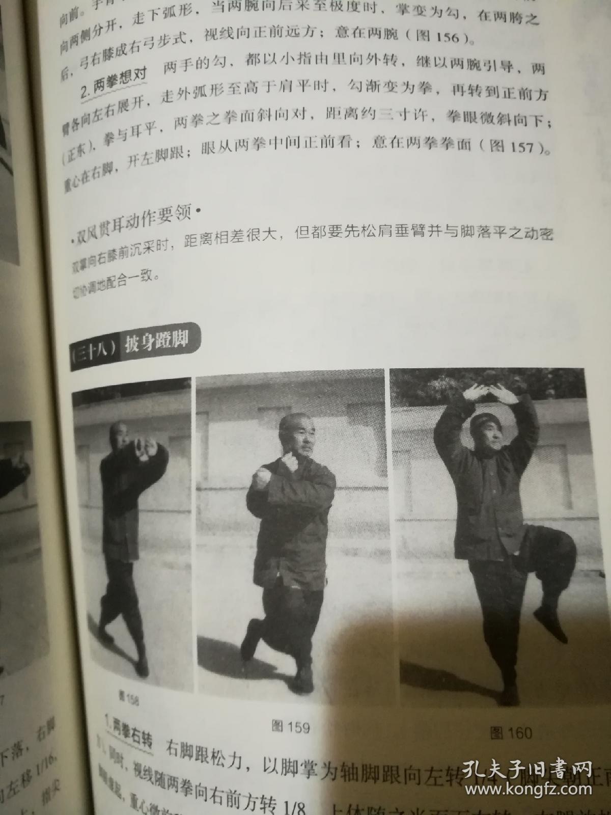 杨禹廷太极拳诠真
