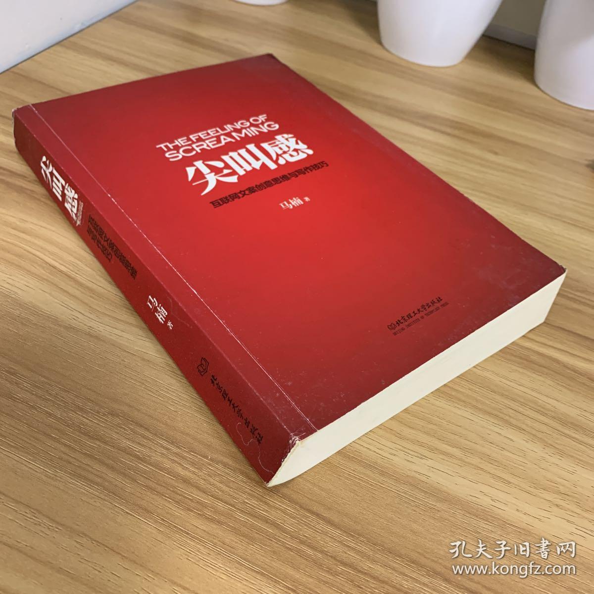 尖叫感:互联网文案创意思维与写作技巧