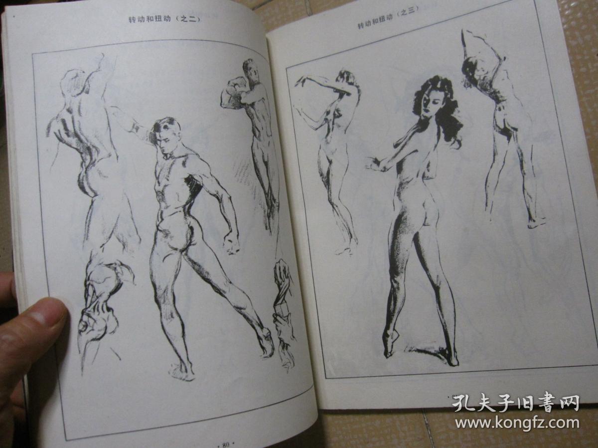 人体素描_[美]安德鲁・路米斯_孔夫子旧书网