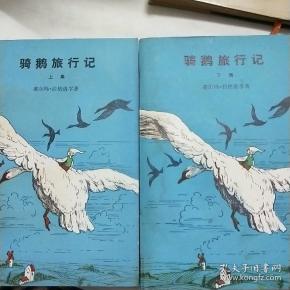 骑鹅旅行记(上下)