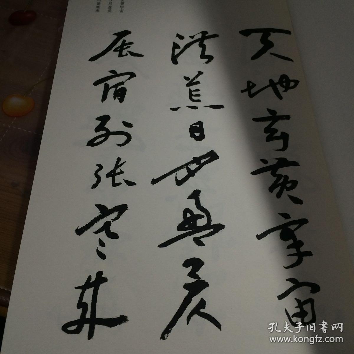 当代中国书法名家千字文:淳一草书千字文