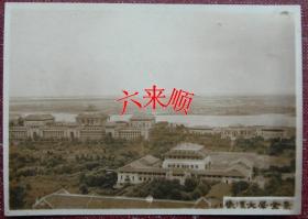 【民国老照片】民国——国立武汉大学全景