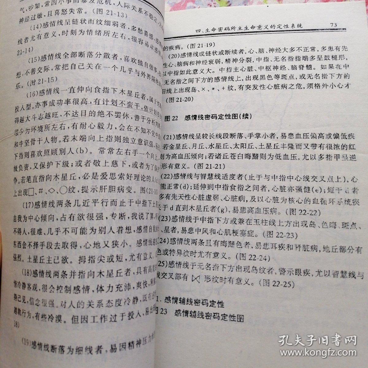 掌纹简谱_断掌纹图片(3)