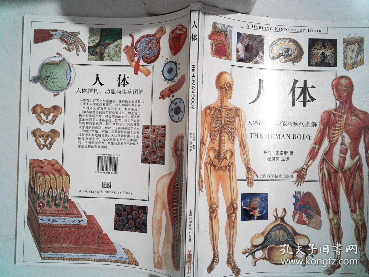 人体 人体结构,功能与疾病图解(大16开精装)