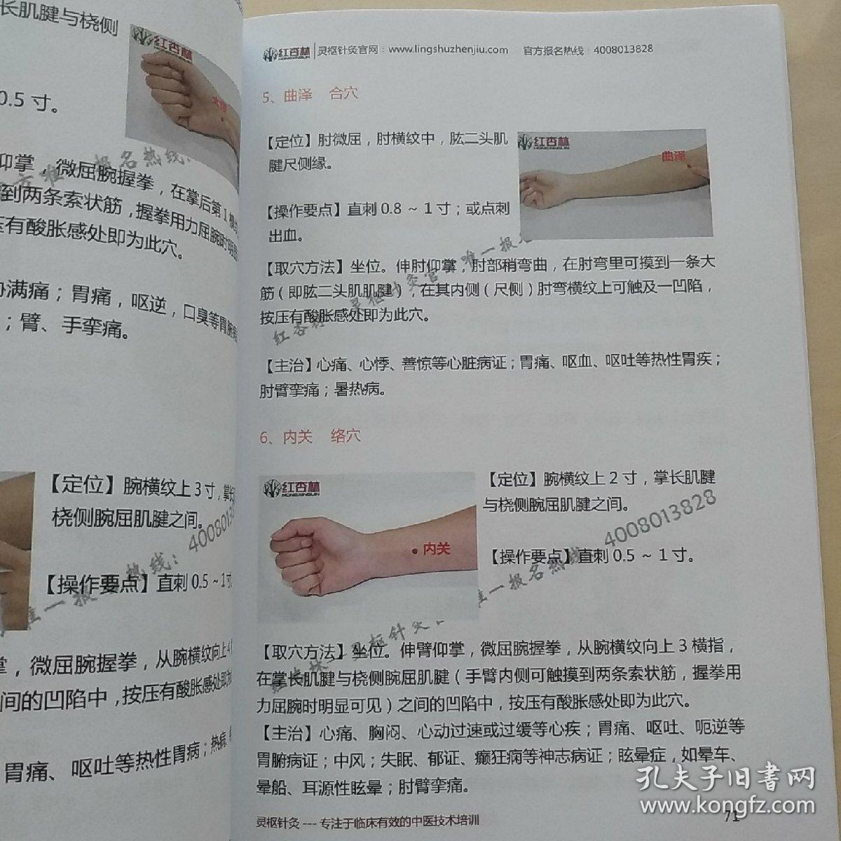 红杏林 灵枢针灸
