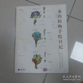 多肉植物手绘日记