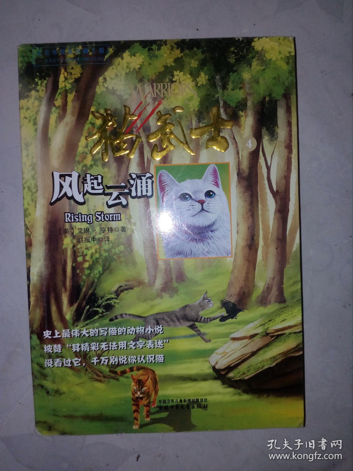 猫武士 风起云涌