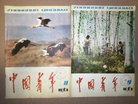 中国青年（1981年8-9）