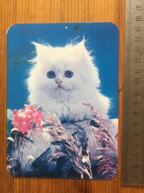 八九十年代 精致精美贺卡一枚 封面：白猫