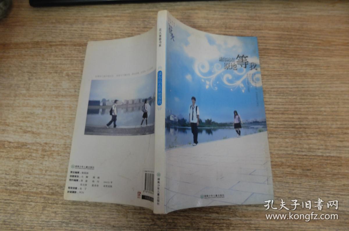 请你站在原地等我:花火精装系列