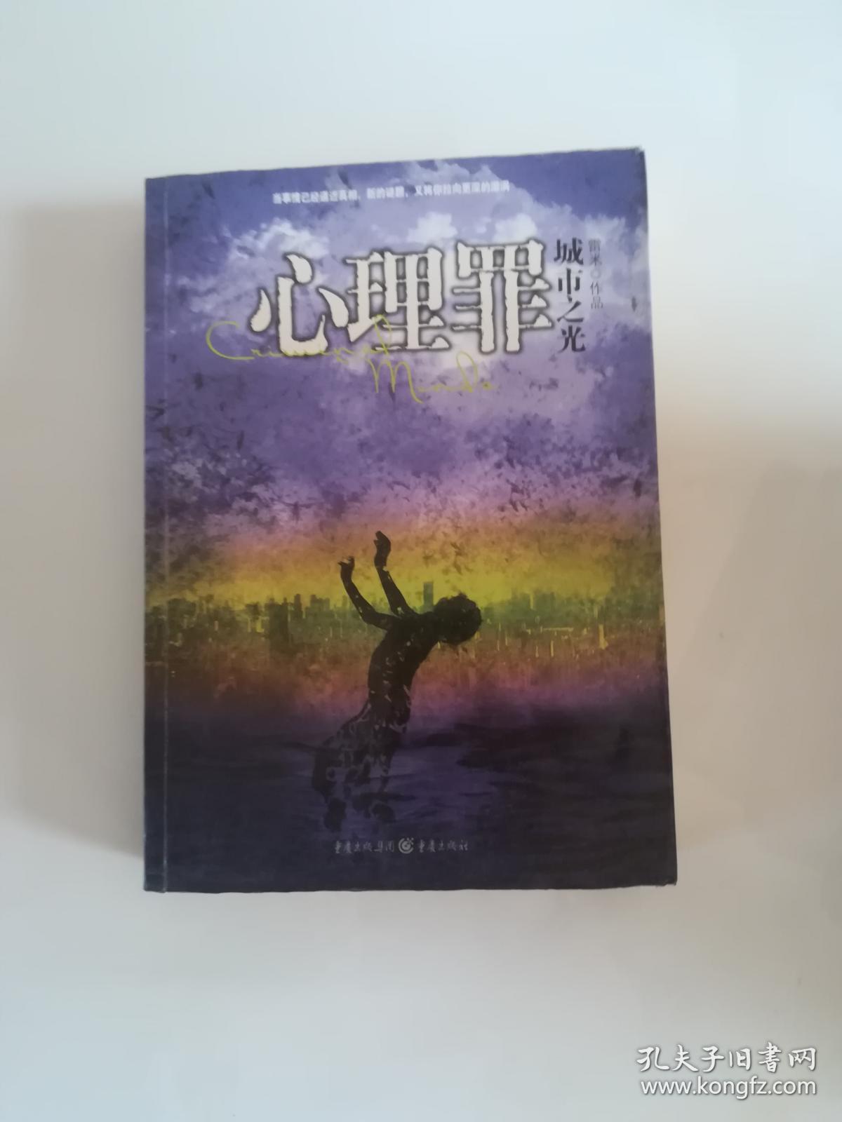 心理罪:城市之光(雷米 著)_简介_价格_小说书籍_孔网