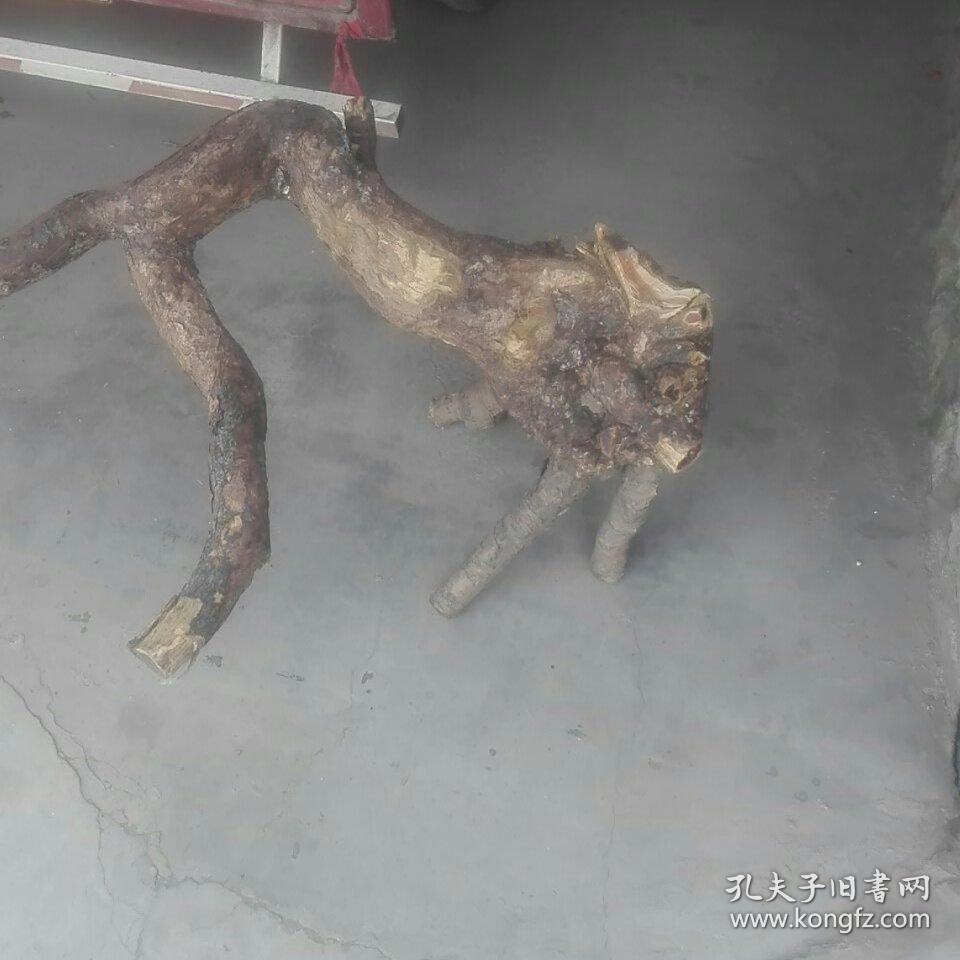 东北铁梨木 俗称 老乌眼