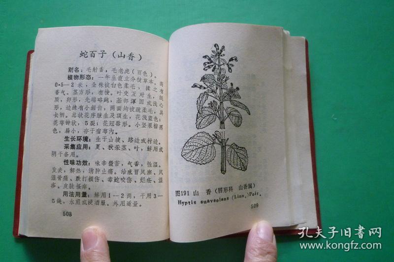 常用中草药验方选第一册百百色专区