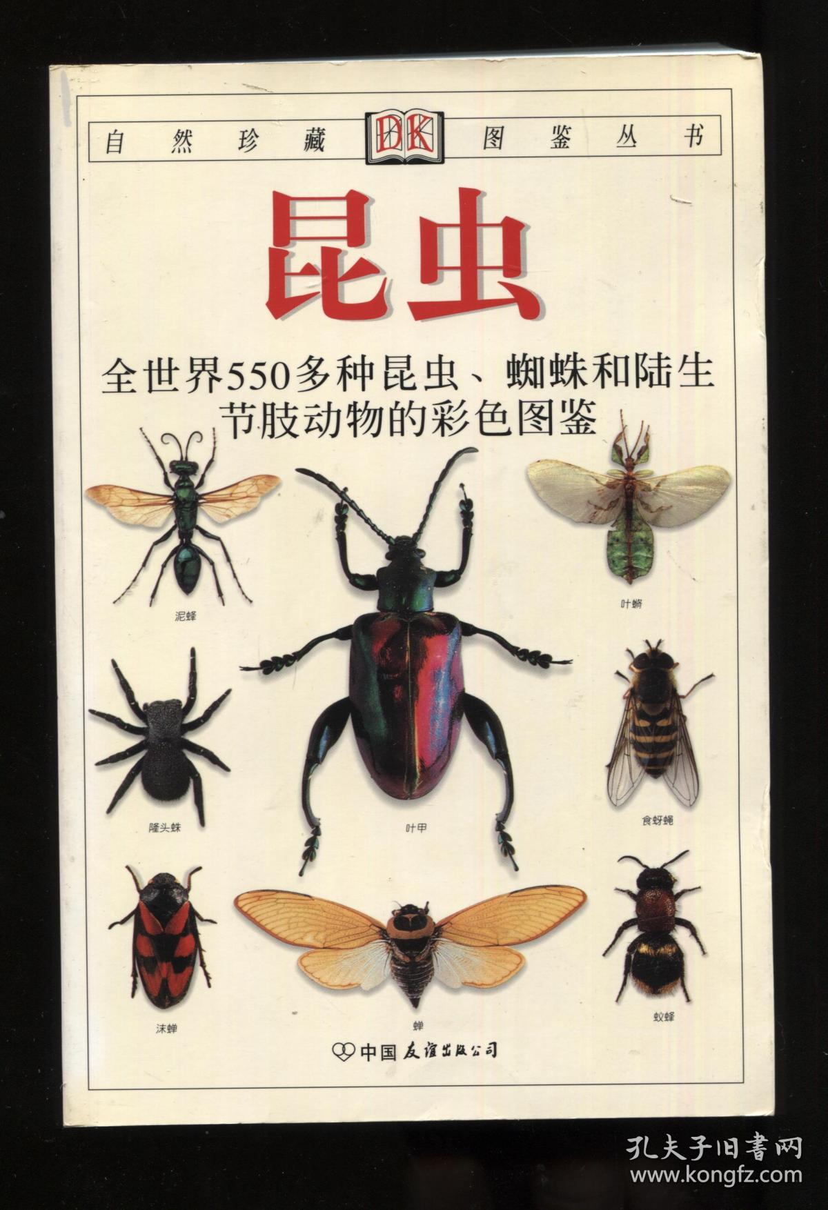 昆虫:全世界550多种昆虫,蜘蛛和陆生节肢动物的彩色图鉴