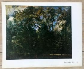 油画美术资料 散页配套  圣克卢的榆树 （保罗·于埃)