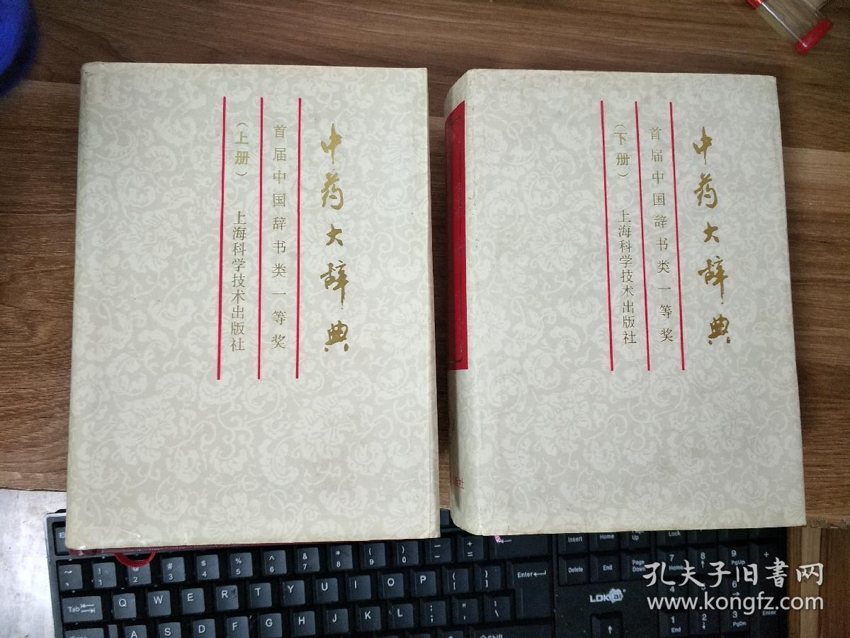 中药大辞典(上下)