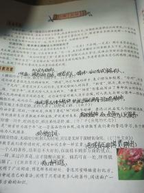 状元大课堂六年级上册语文