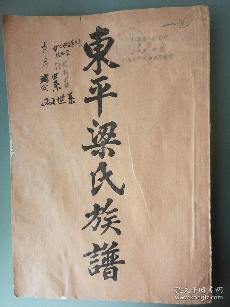 东平梁氏族谱(1--36卷 缺2 4 13 19 21 22 23 25 26 32 35)(油印本)