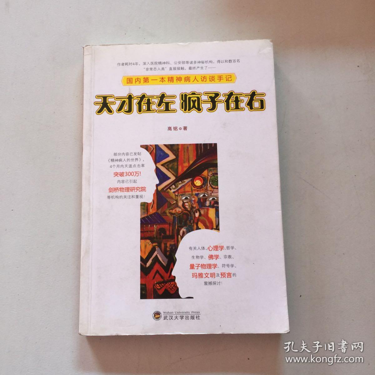 天才在左 疯子在右:国内第一本精神病人访谈手记