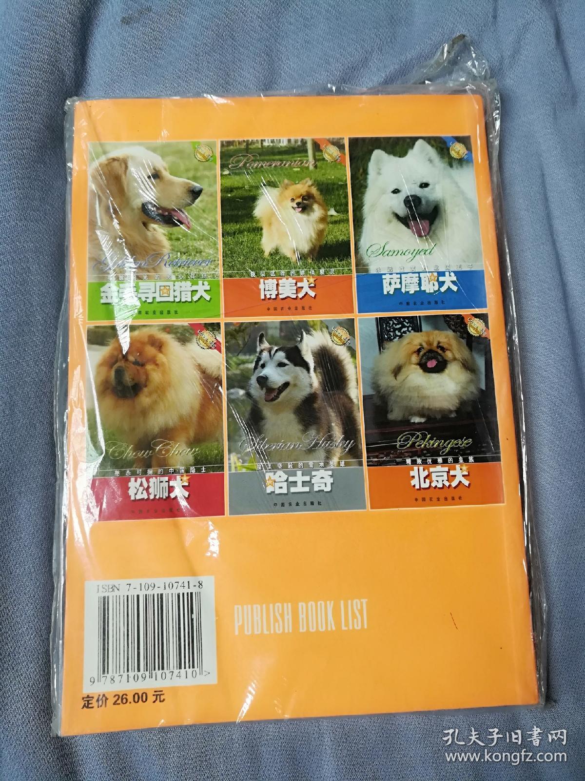 精致优雅的皇族:北京犬