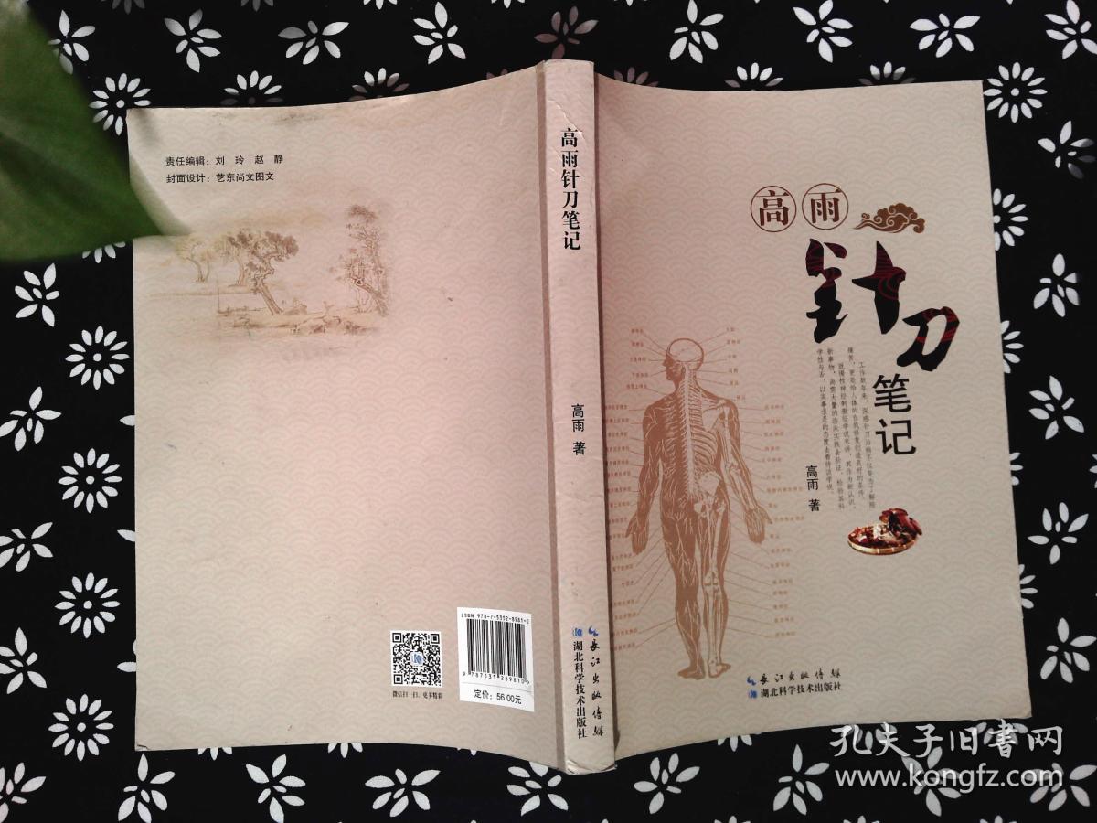 高雨针刀笔记