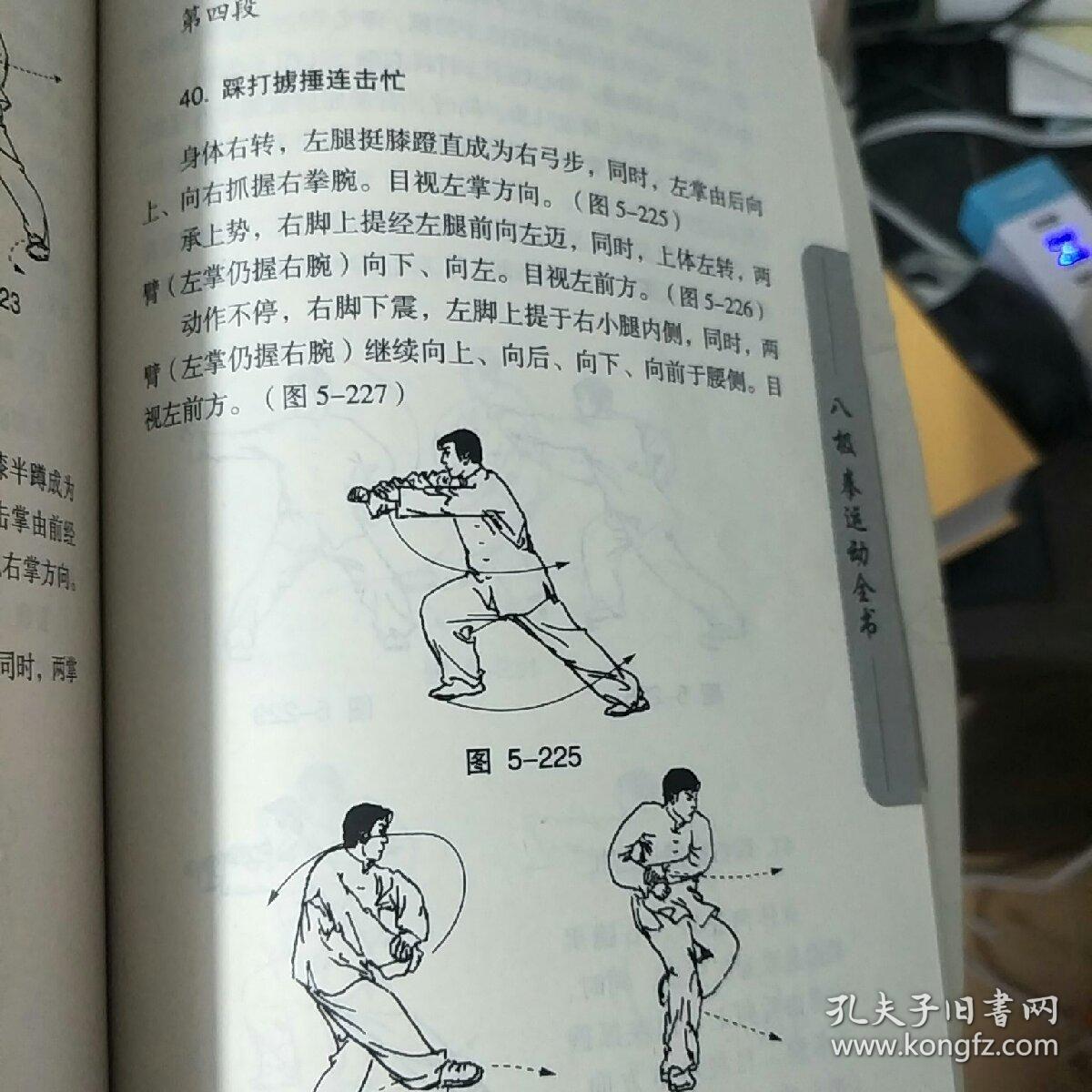 八极拳运动全书