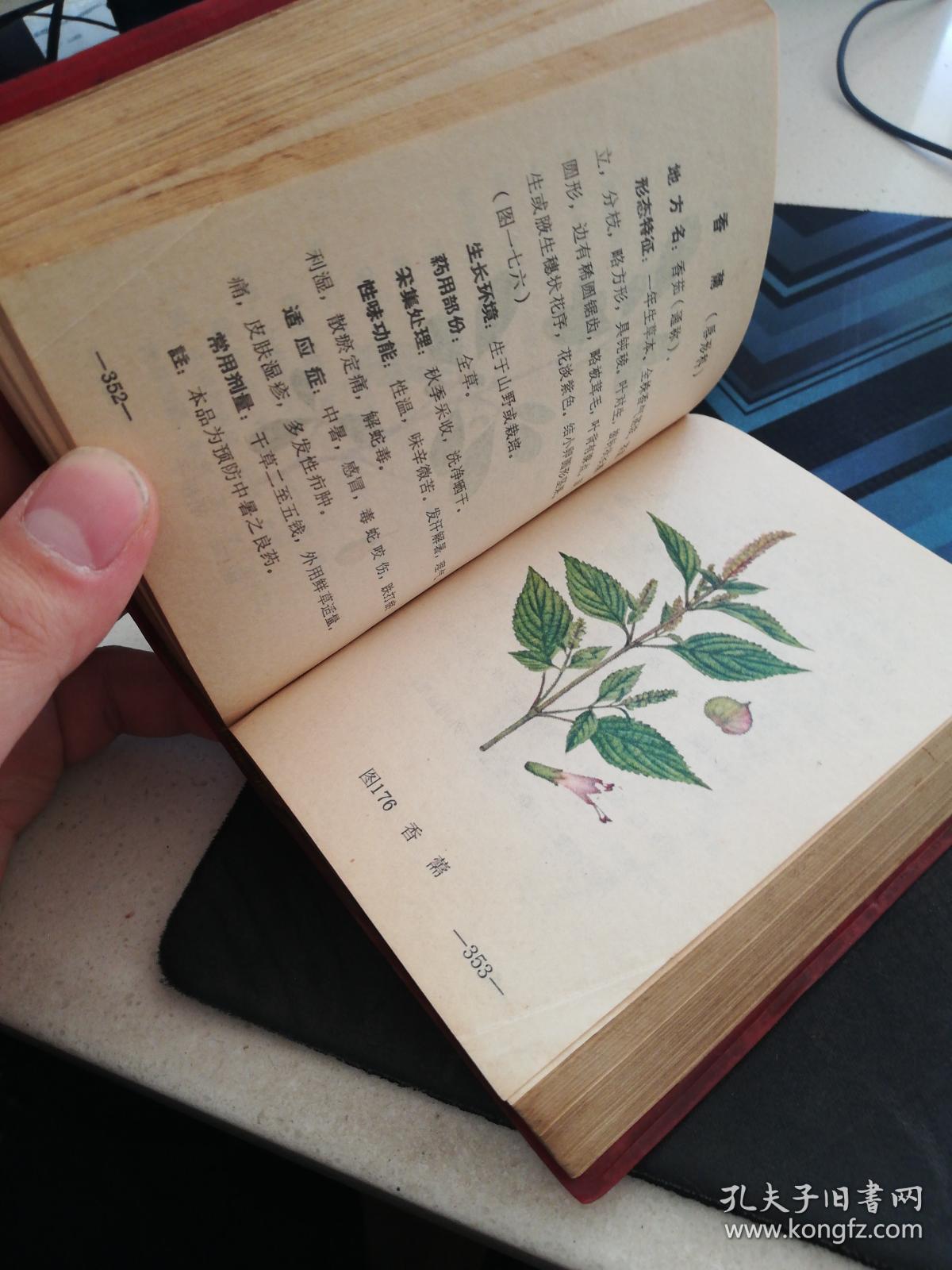 实用中草药(64开红塑面精装 龙溪版彩色图谱)