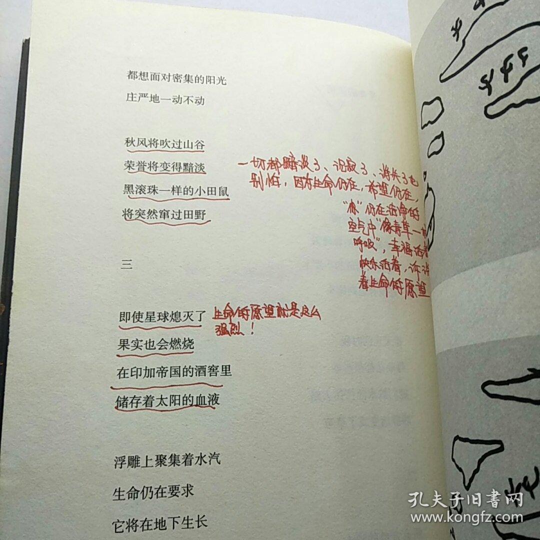 顾城的诗顾城的画:(插图本)