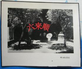 【老照片】贵阳名胜——黔灵公园