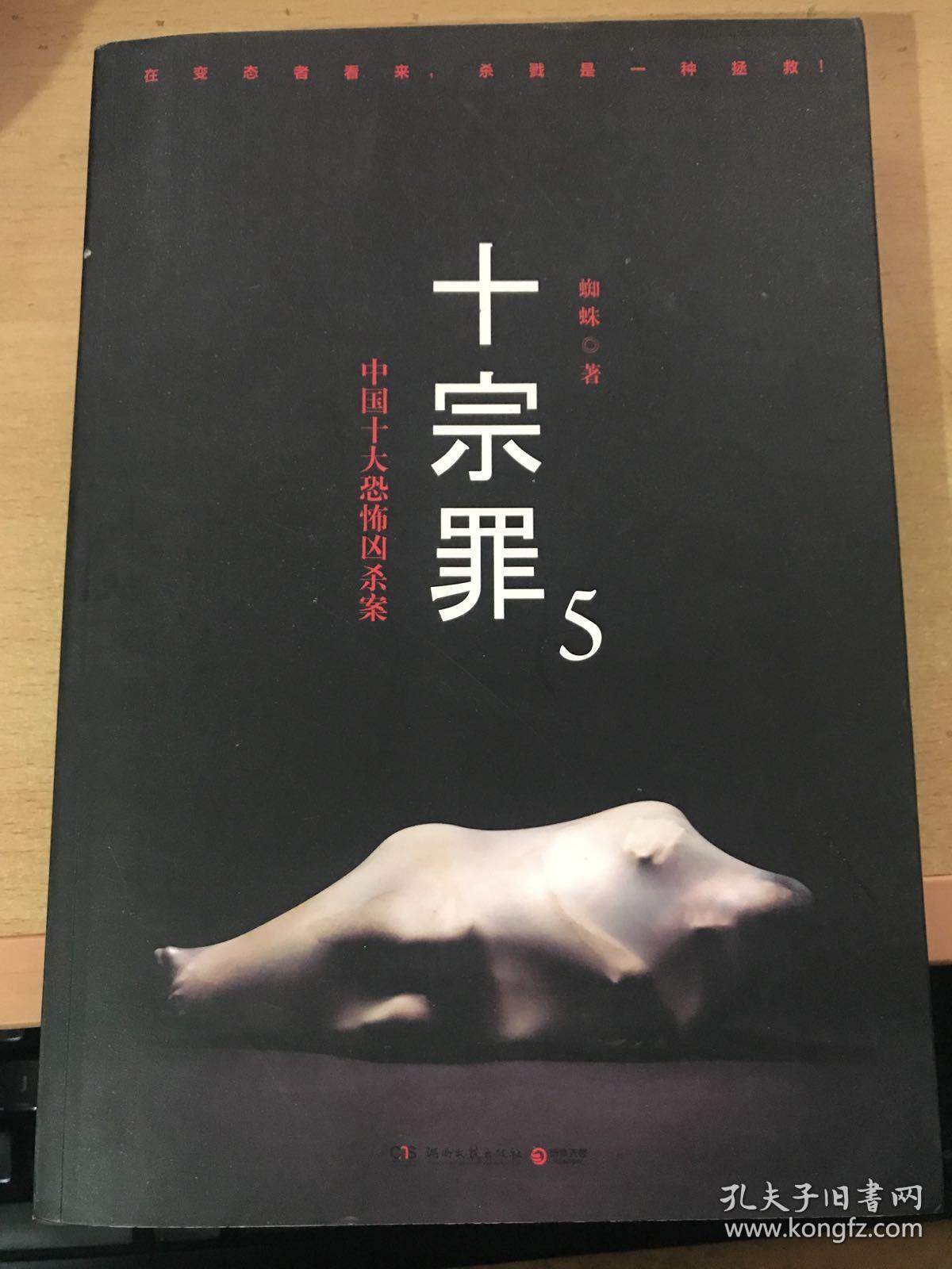 十宗罪5中国十大凶杀案
