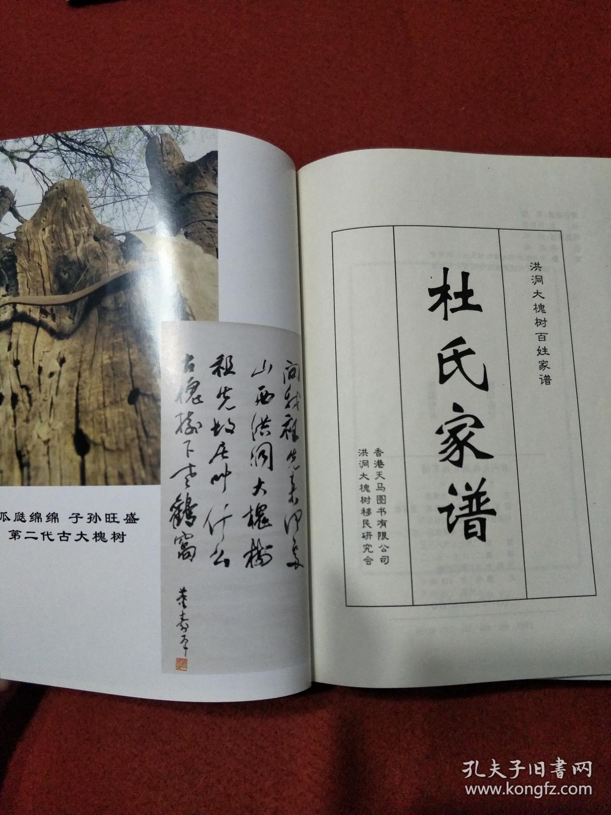 杜氏家谱
