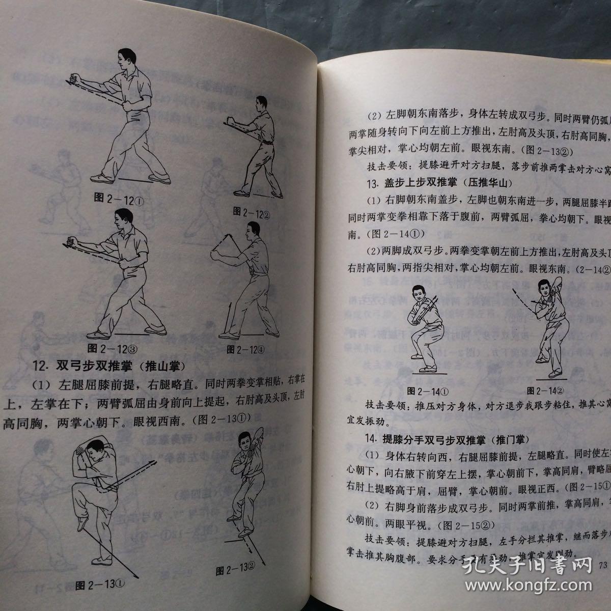 福建少林拳——福建南拳丛书