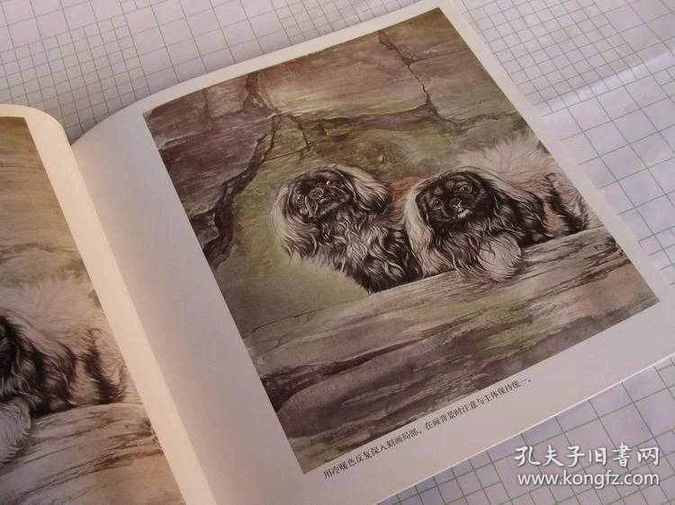 画动物画花朵图片 qoYBAFwhjwyACr8gAADt-Si7lIY748_b.jpg