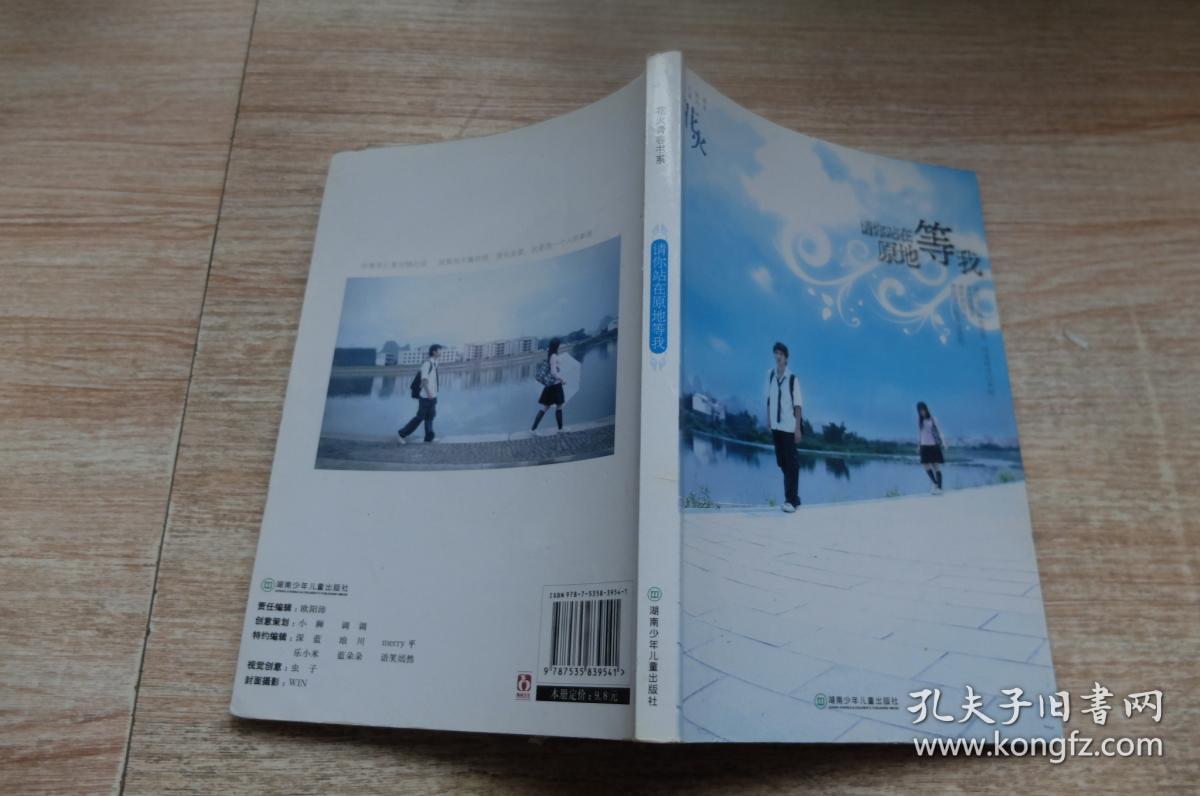 请你站在原地等我:花火精装系列