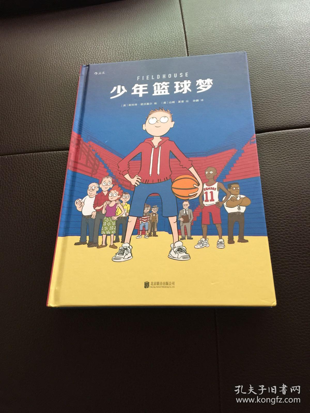 少年篮球梦