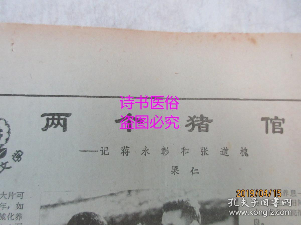 两个猪倌记蒋永彰和张道槐丁荫楠和斯琴高娃为了丝网印刷业的兴旺发展