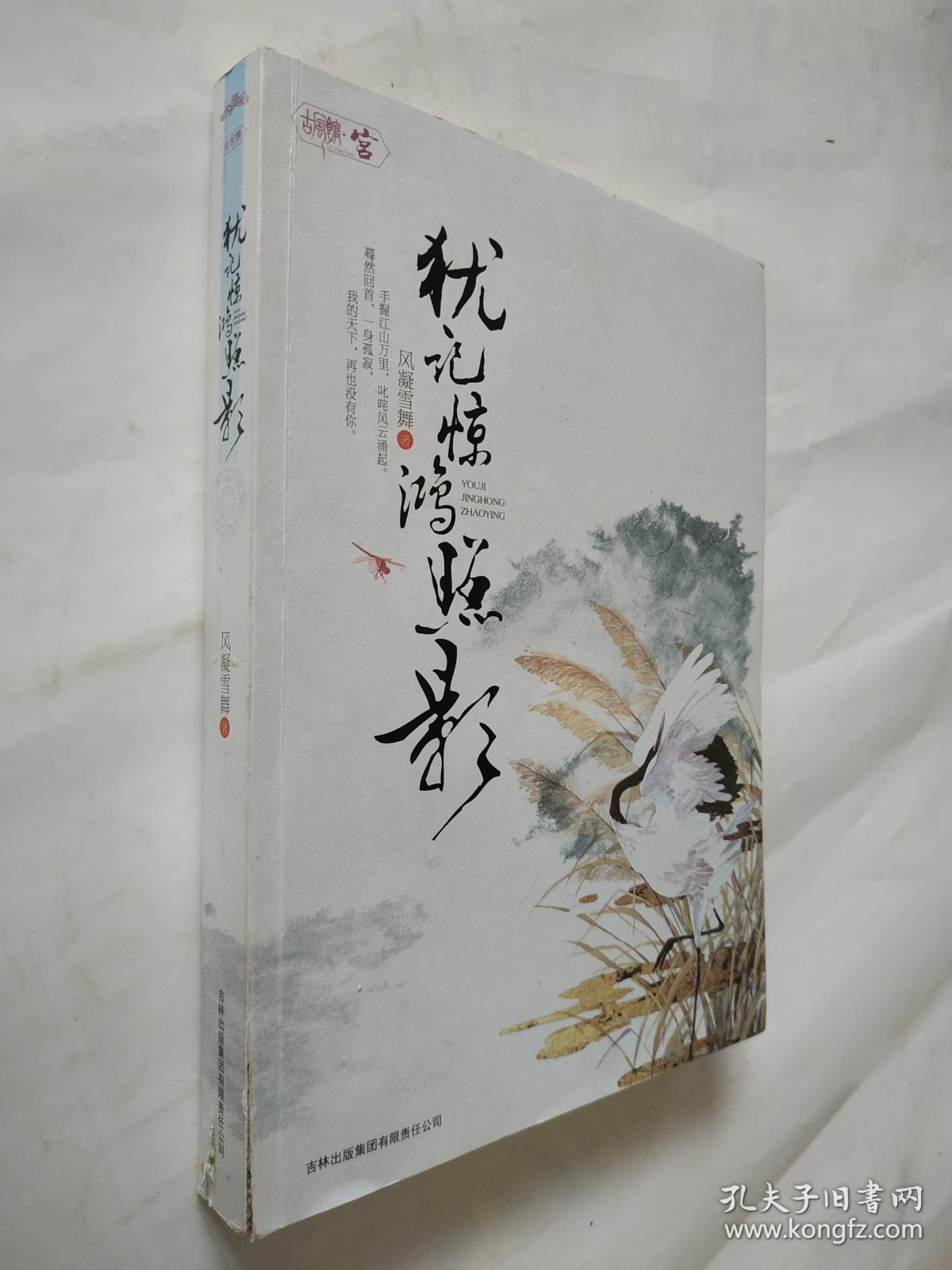 犹记惊鸿照影