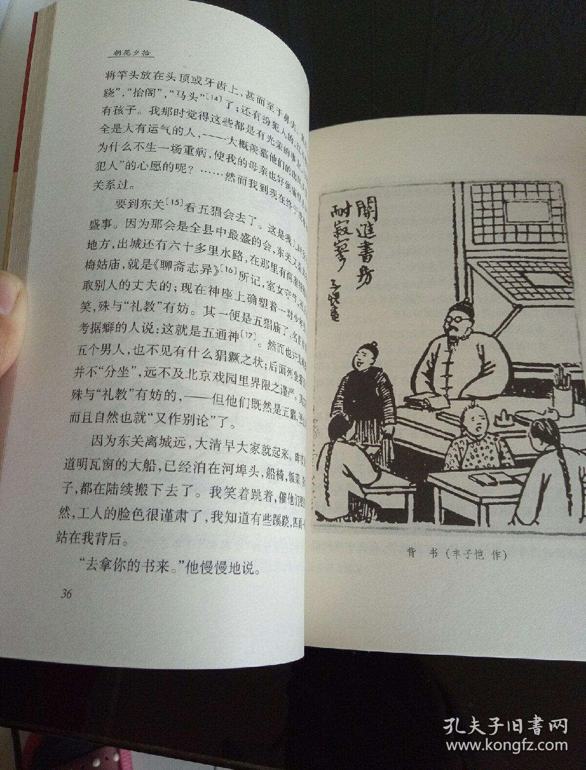 朝花夕拾:朝花夕拾(插图本)