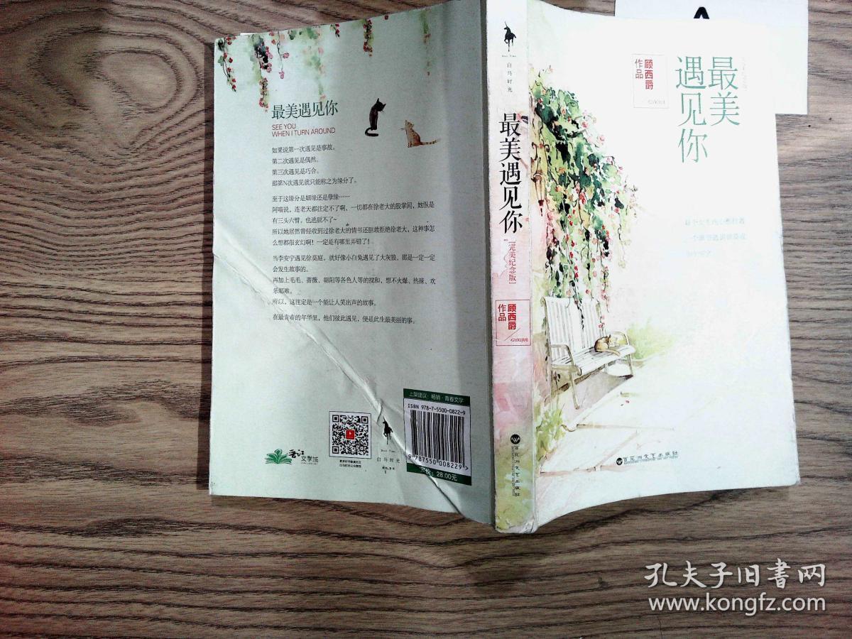 最美遇见你:完美纪念版