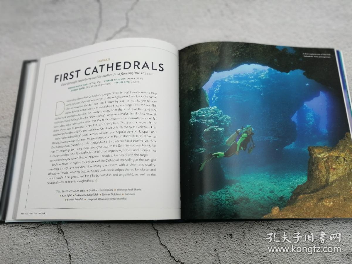 100 dives of a lifetime: the world"s ultimate underwater