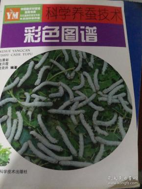 面部养蚕视频科学护肤图片