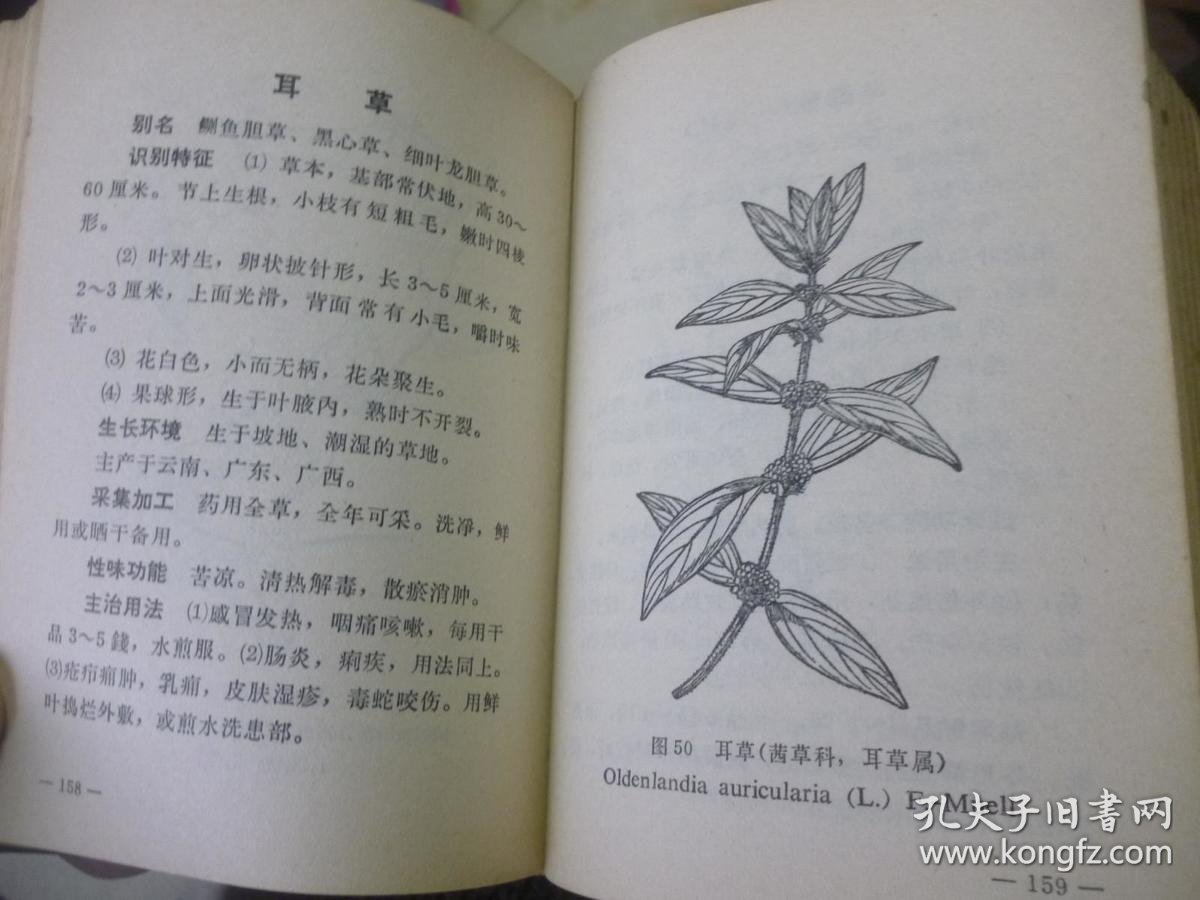常用中草药手册【塑皮软精装 文革医书 69年一版一印】