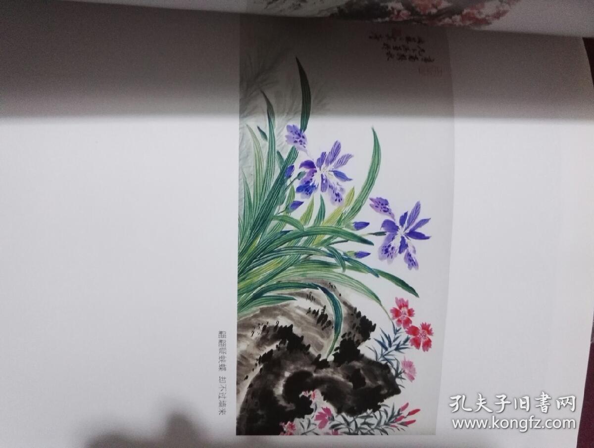 尤玉淇作品集
