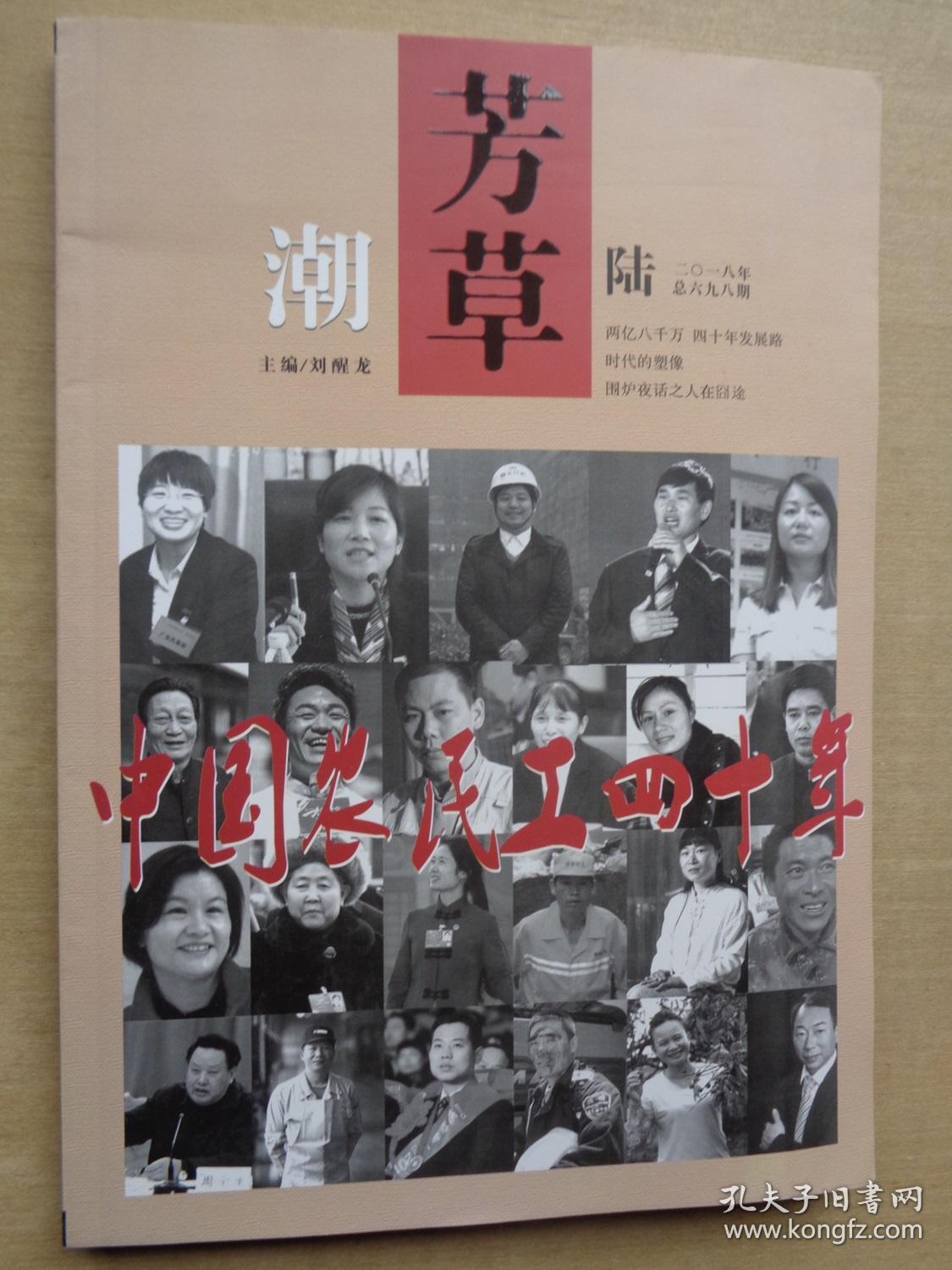 芳草2018年第6期:中国农民工四十年