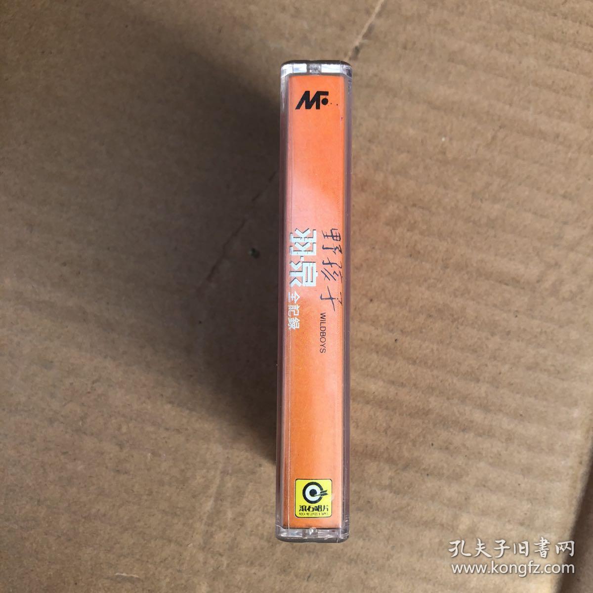 羽泉--野孩子 带歌词