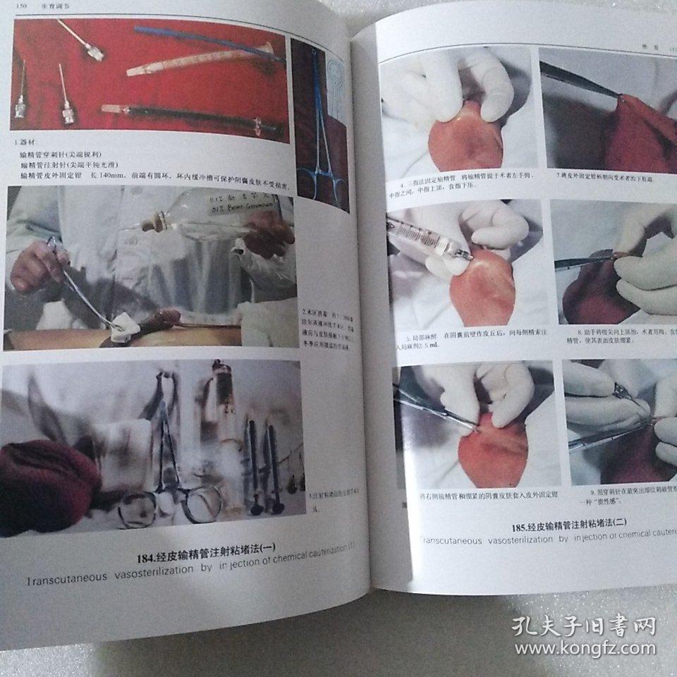 人类生殖调节图谱