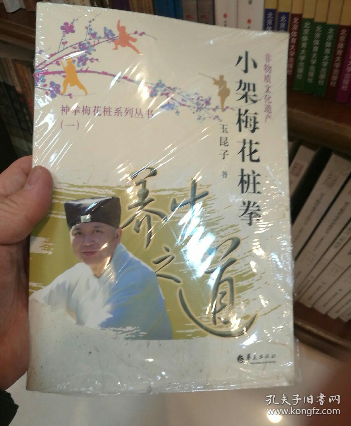 小架梅花桩拳:养生之道