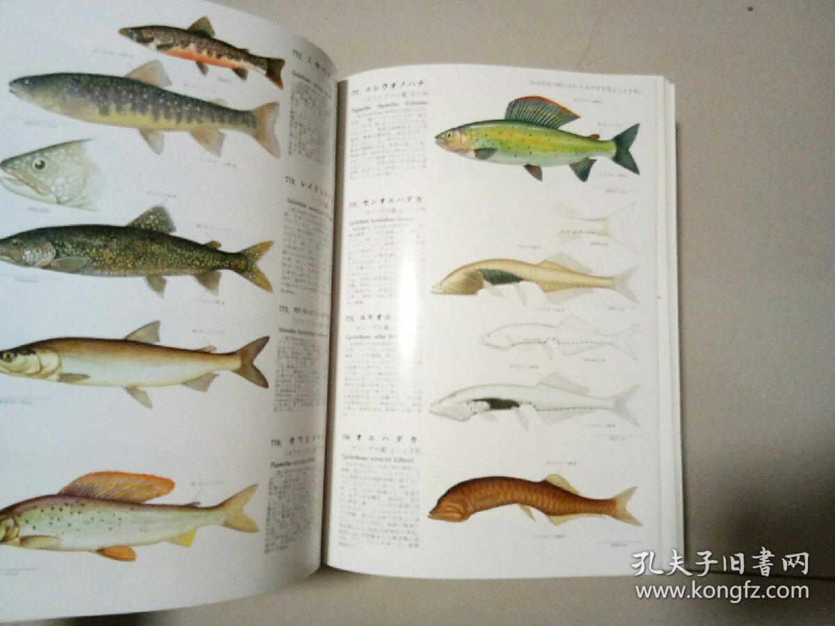 原色鱼类大图鉴