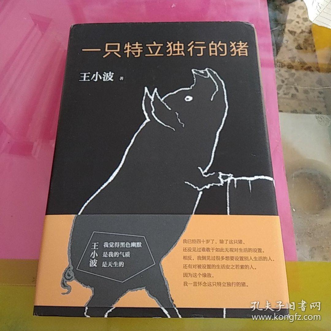 一只特立独行的猪
