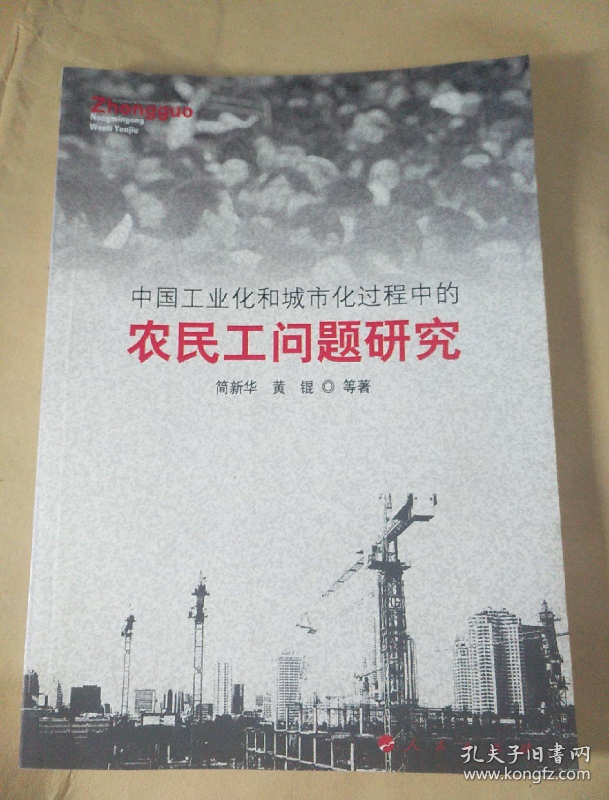 中国工业化和城市化过程中的农民工问题研究